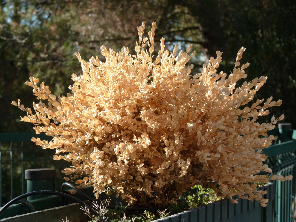 No s'ha trobat l'arxiu